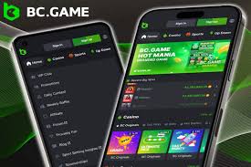 Discover the Exciting World of BC.Game Crypto Casino