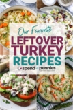 Leftover Turkey Recipes – Spend With Pennies