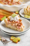 Rhubarb Custard Pie – Spend With Pennies